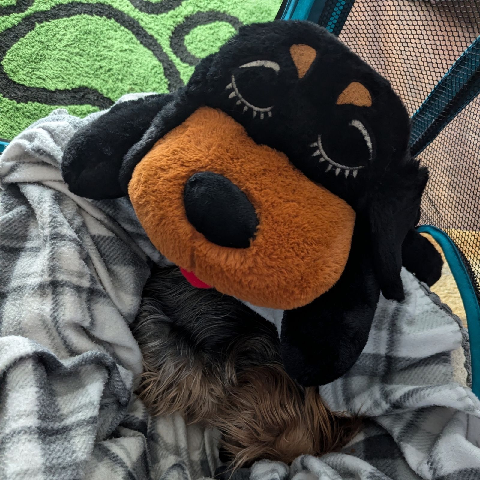 ⭐ PAWSITIVE REVIEW: The Snuggle Puppy (aka Carlos) 🐾
