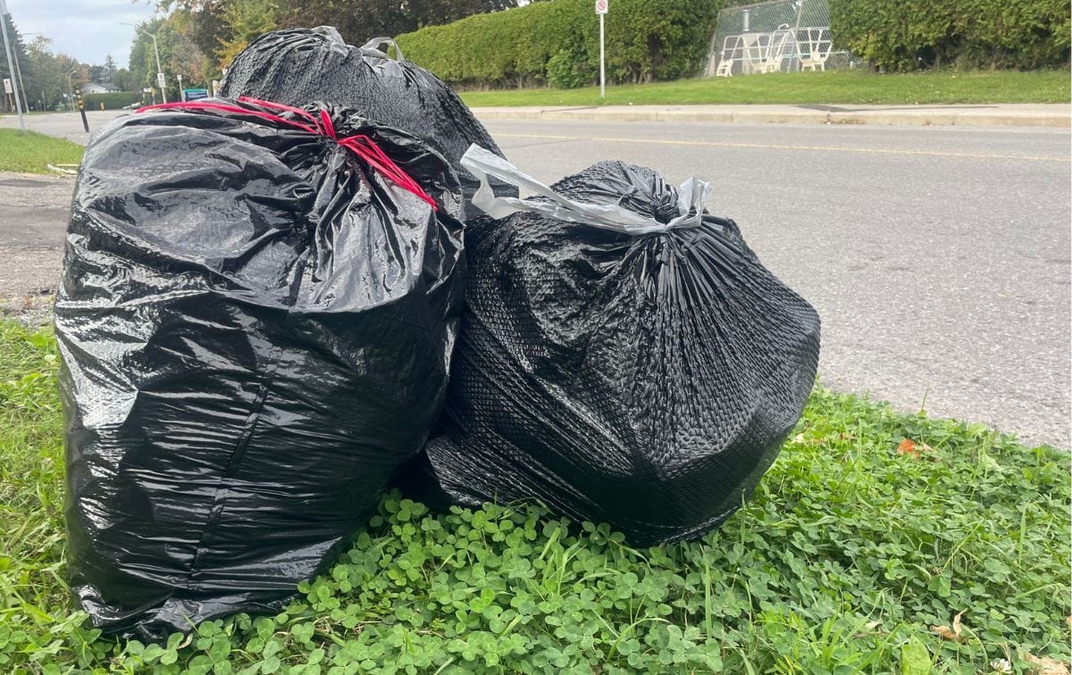 Adventuring through the Canadian Rockies