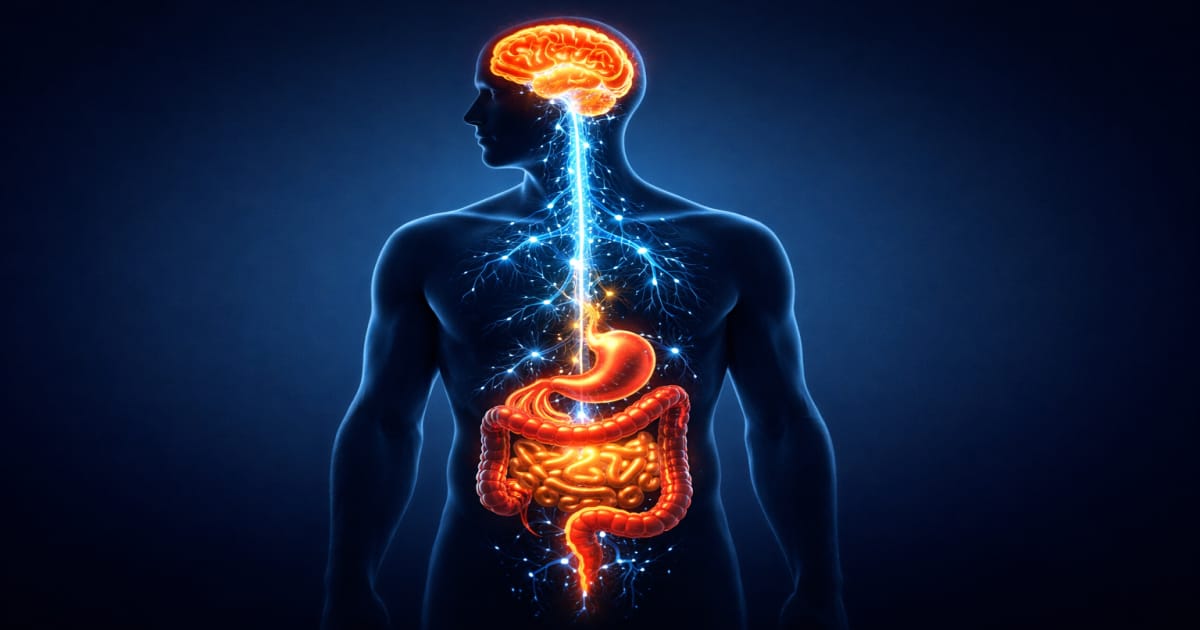Why Your Gut Controls Your Brain: The Science of the Gut-Brain Connection