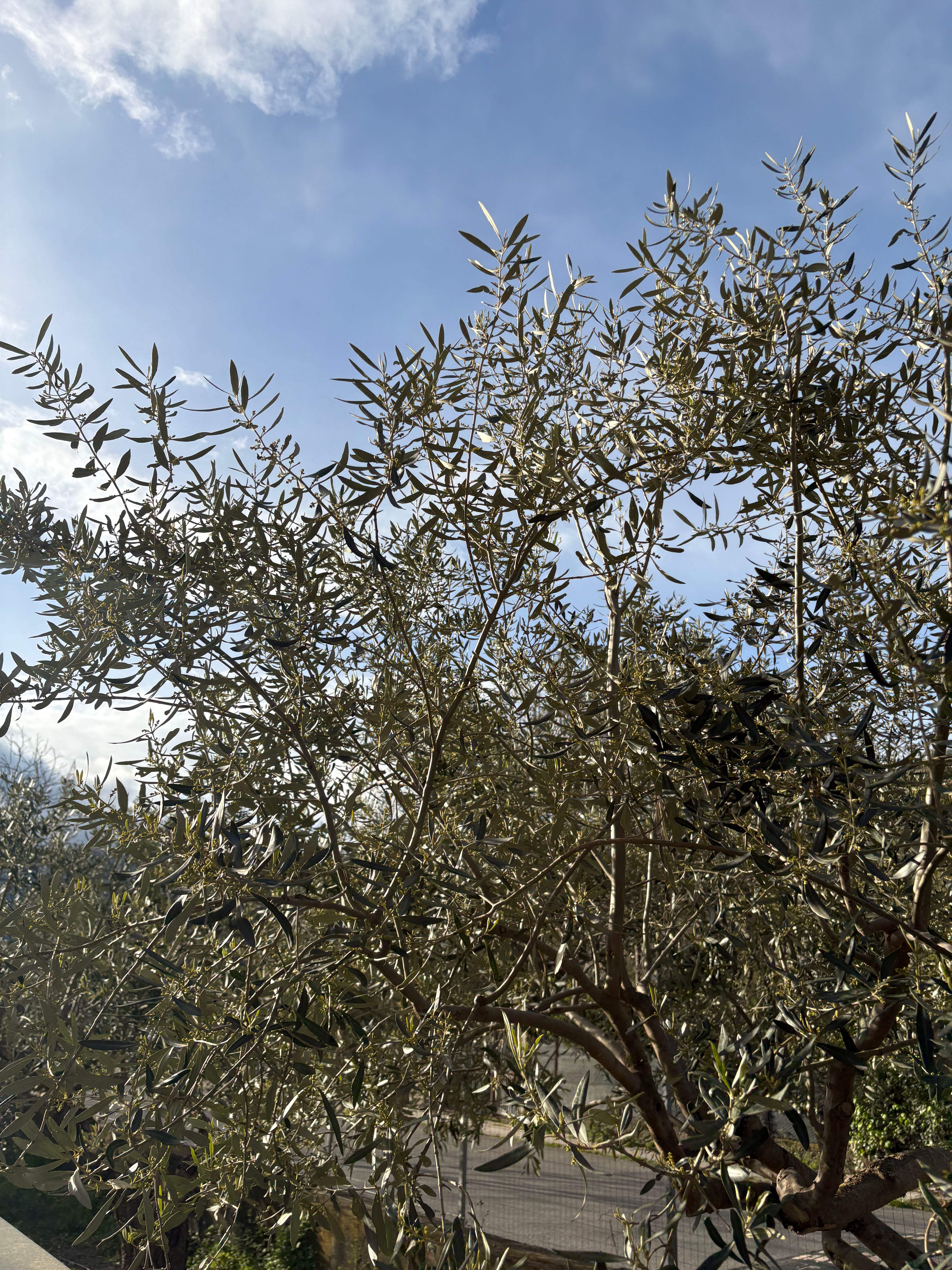 175 - The roads not taken