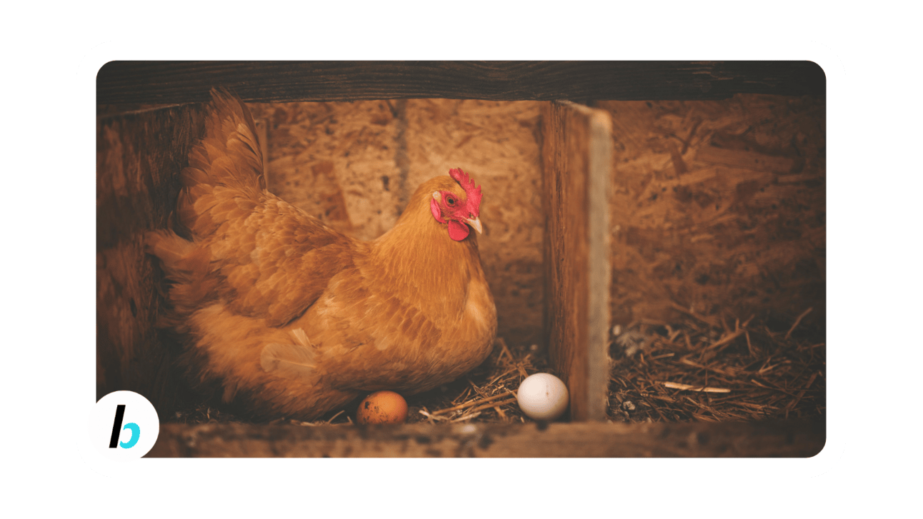 Adventuring through the Canadian Rockies