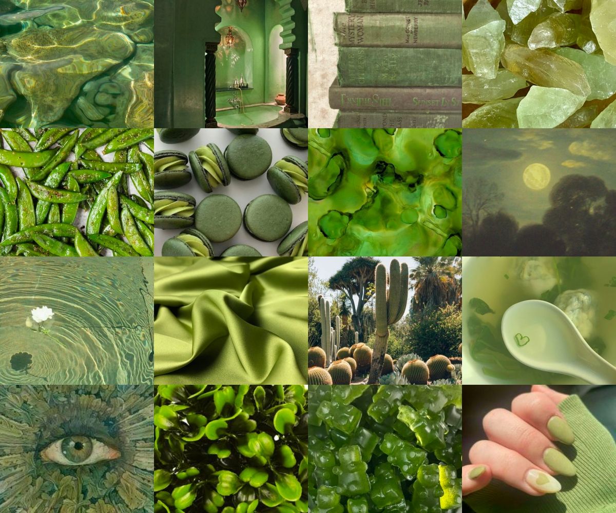 The Garden That Grew Without Permission