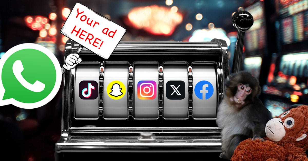 Social media trial turns up the heat on Instagram and YouTube