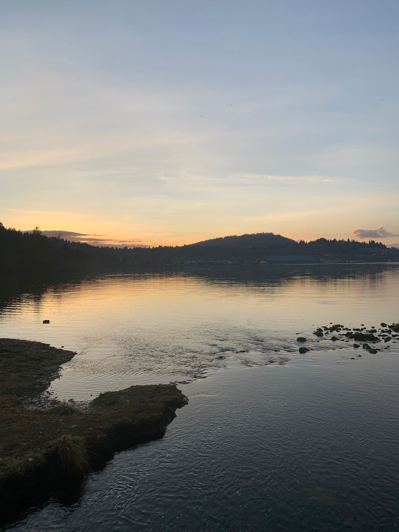 Monthly Update - January 2025