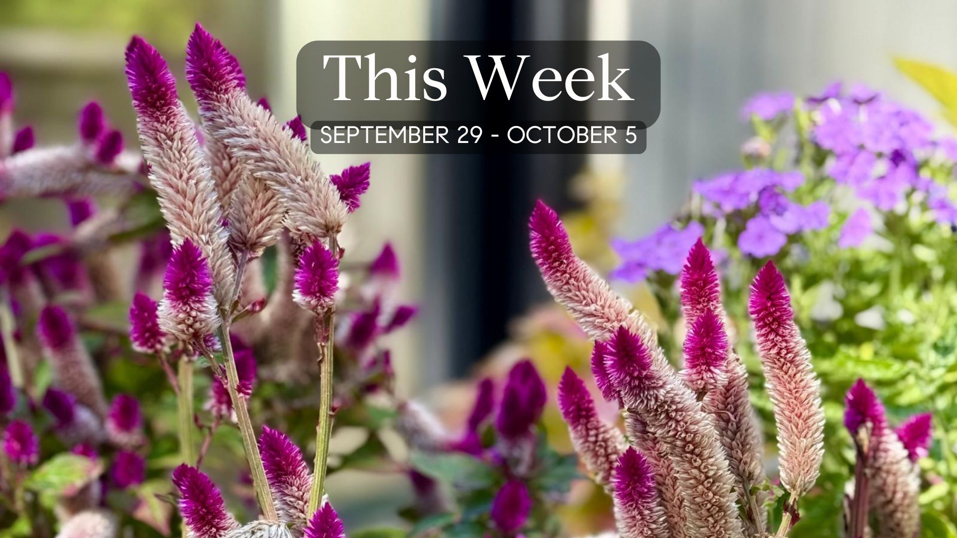 Adventuring through the Canadian Rockies