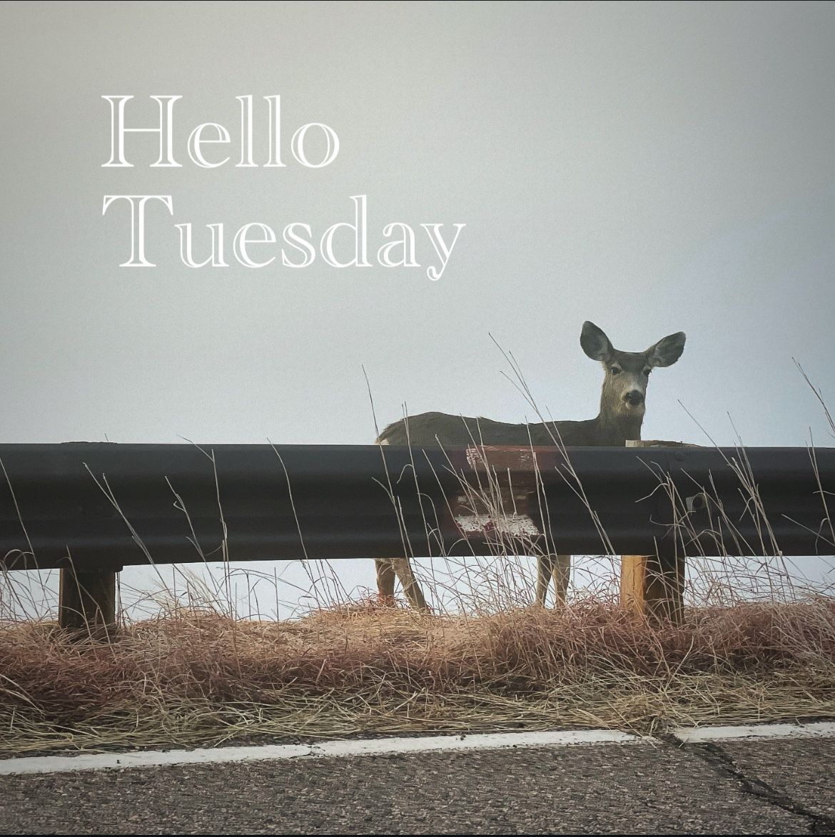 Welcome Back, Students & Snow ☃️