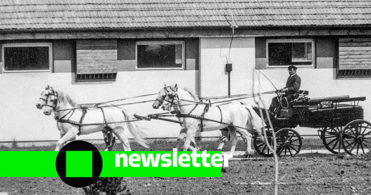 Siguranța online a copiilor, de la București la Washington, D.C.