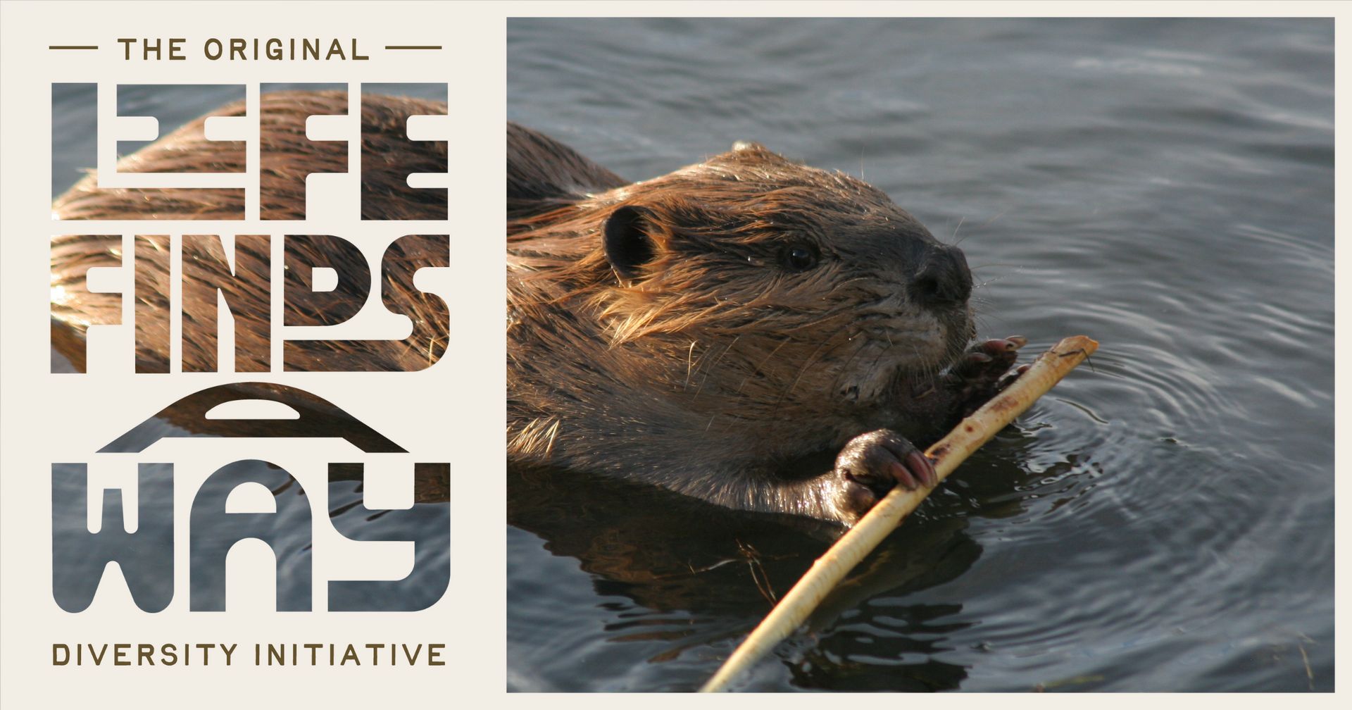 Adventuring through the Canadian Rockies