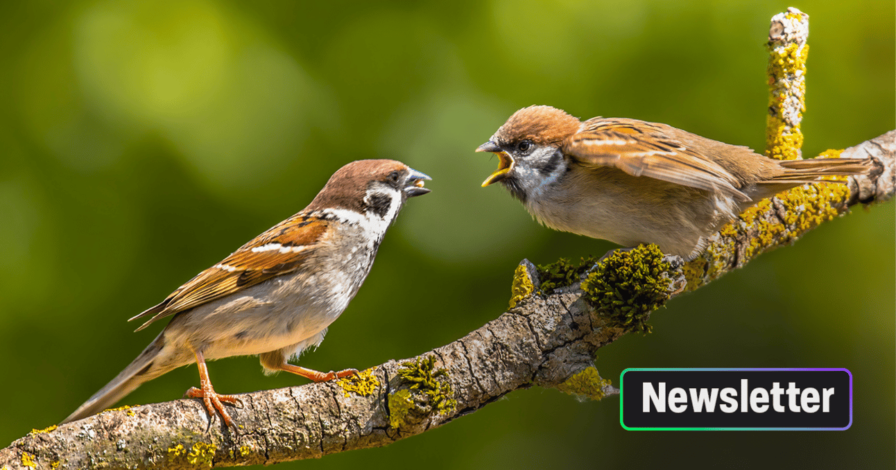 Quand on protège les oiseaux, ça marche