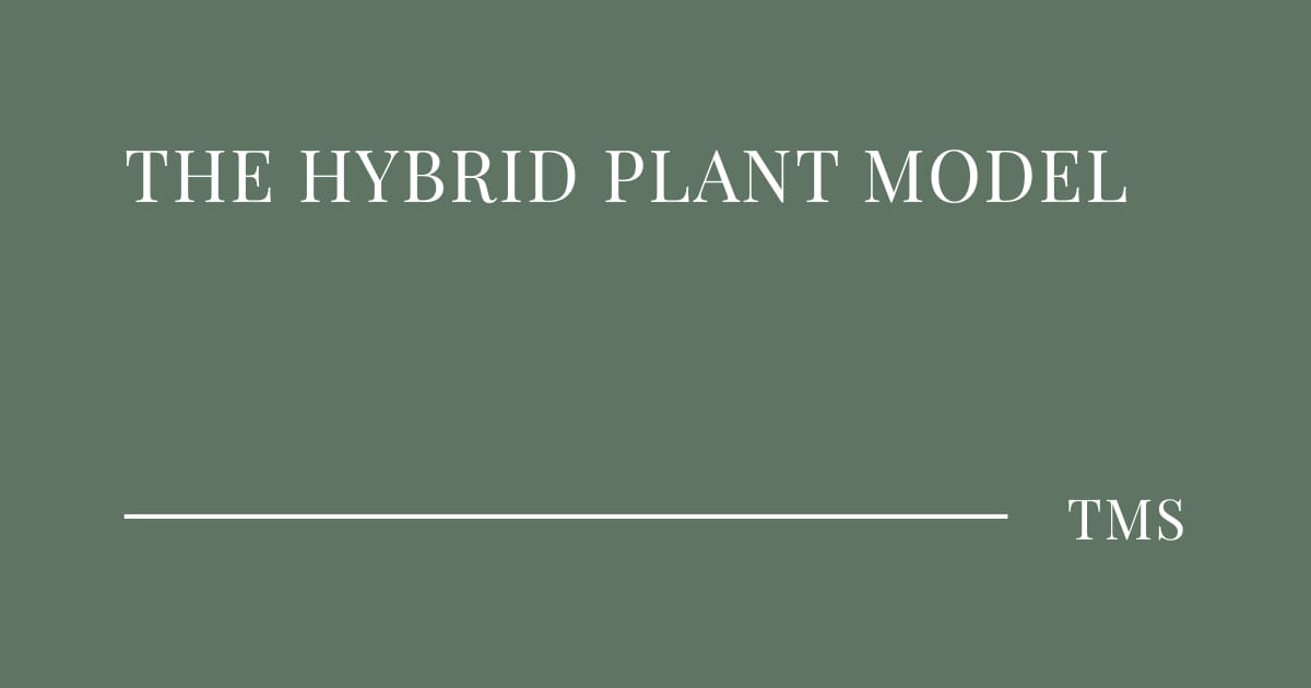 The Hybrid Plant Model