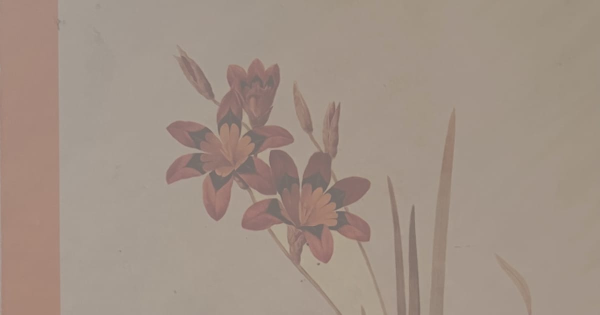 Adventuring through the Canadian Rockies