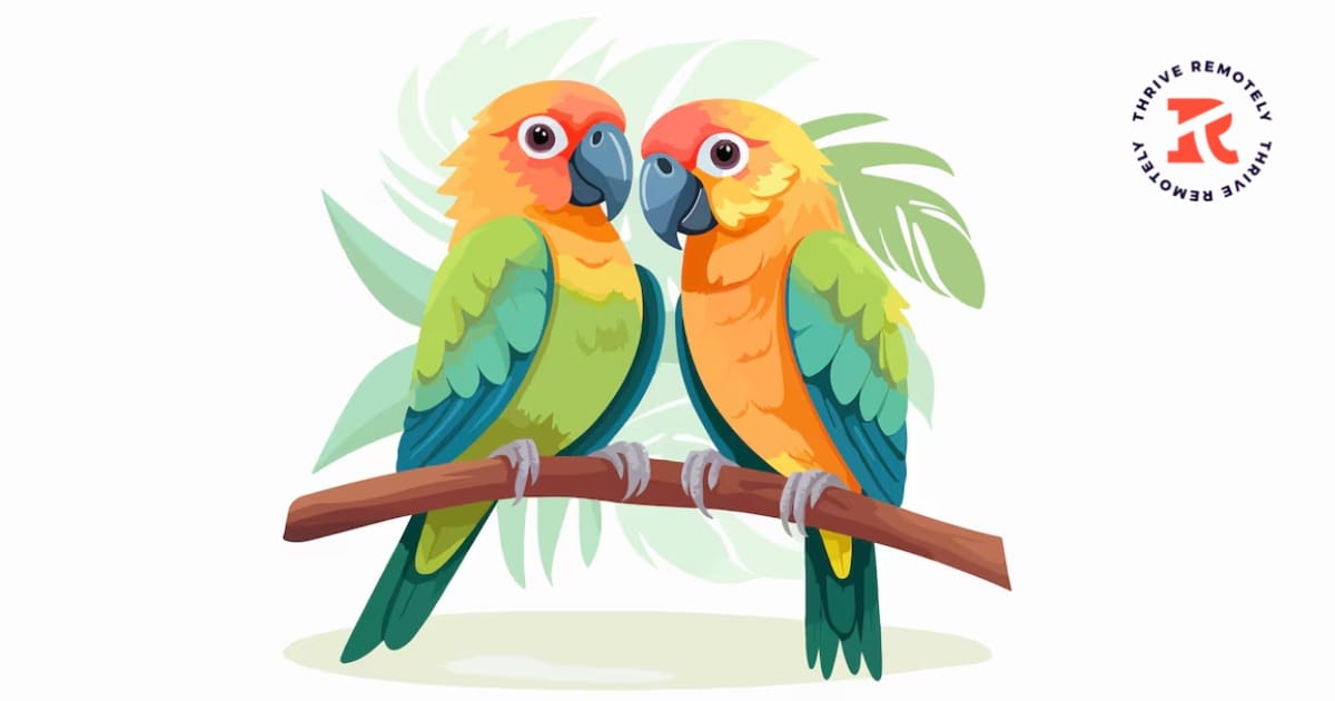 The Slomad's Paradox: When Your Amazing View Becomes Invisible