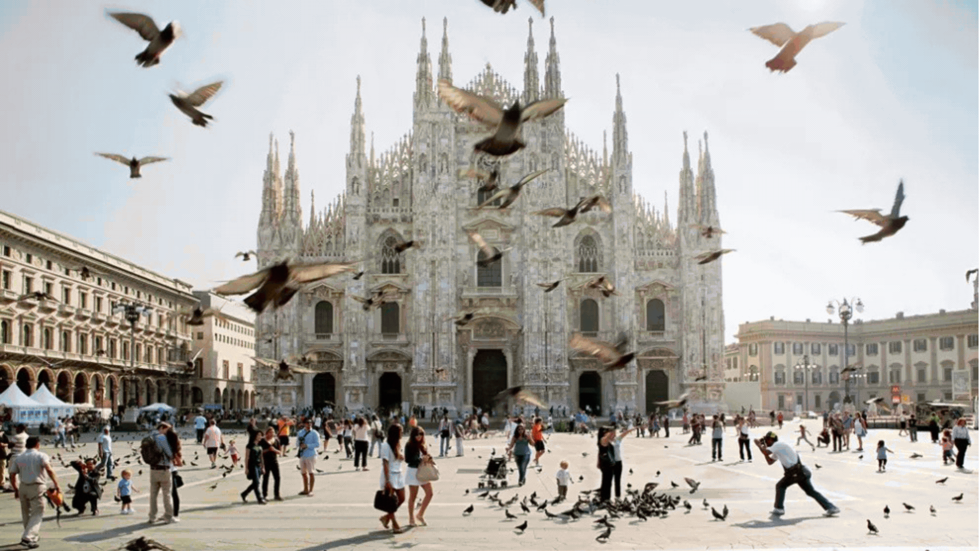 Coolture Insider - Issue 004