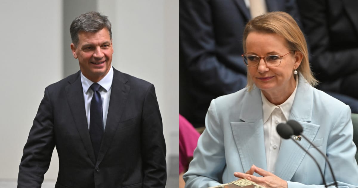 Sussan Ley Vs Angus Taylor