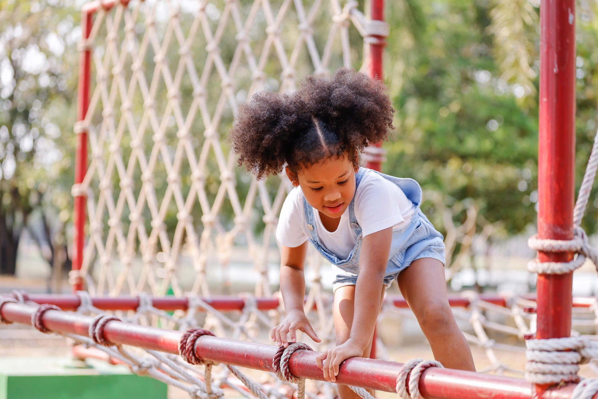 Adventuring through the Canadian Rockies