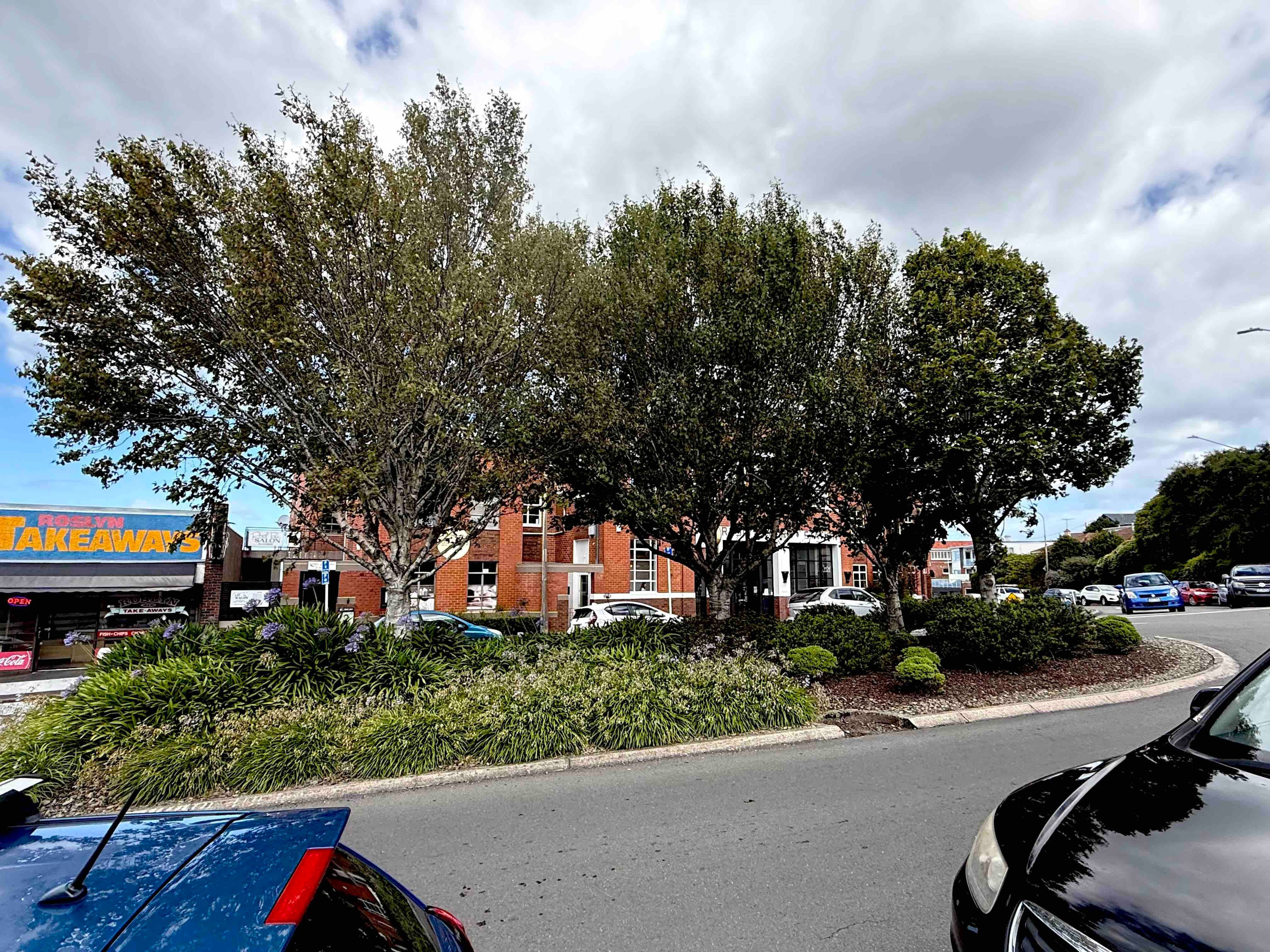 Exploring our Roslyn village greenery  