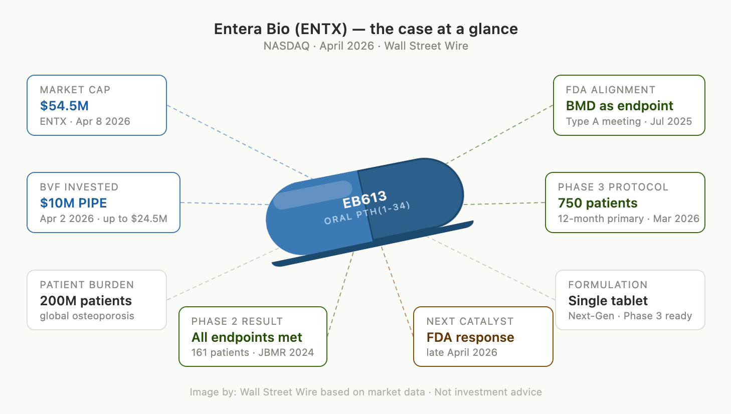 Bones of a Bet: Why the Smart Money That Backed ChemoCentryx, Blueprint and Protagonist Just Put Its Chips on Entera Bio