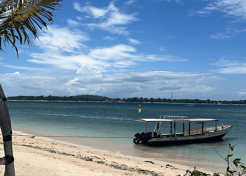 Heartful Christmas: Let’s Notice Miracles and Glimmers 🎄✨