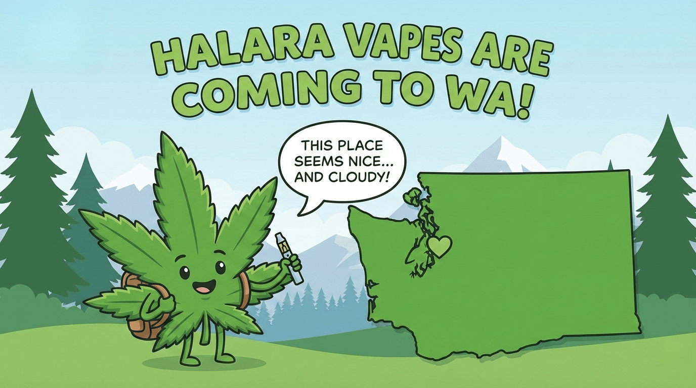 New State Alert! 🚨🚨