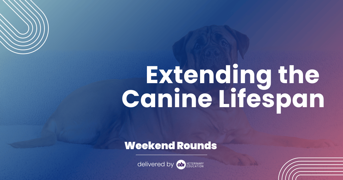  🐕️ Extending the Canine Lifespan