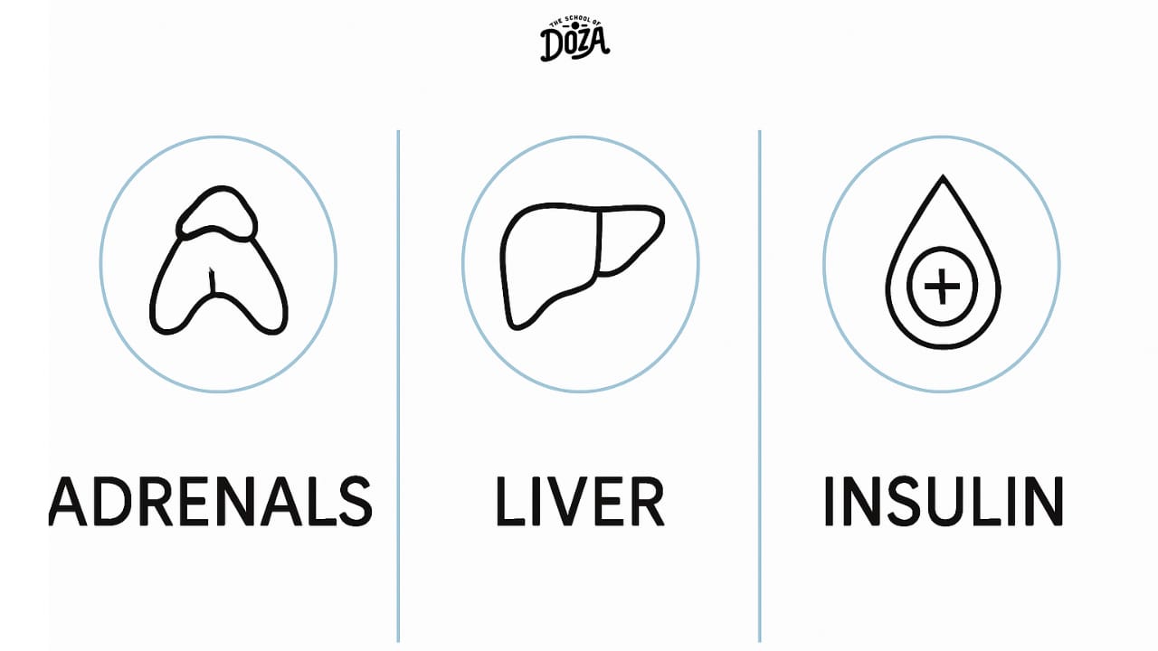 Adventuring through the Canadian Rockies