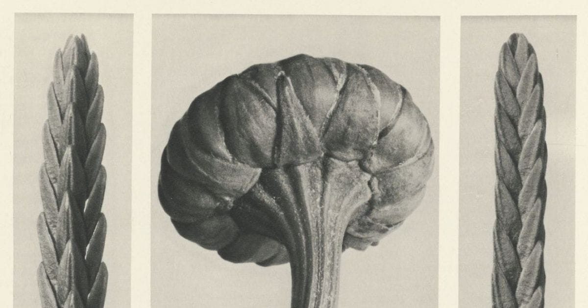 Reframe Daily: Kids' psoriasis relief, weight-loss boost, mood app, and AI vs. Alzheimer’s