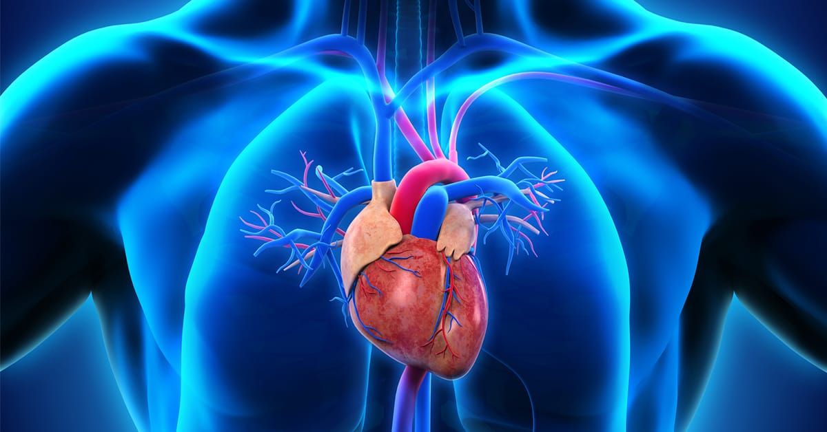 Adventuring through the Canadian Rockies