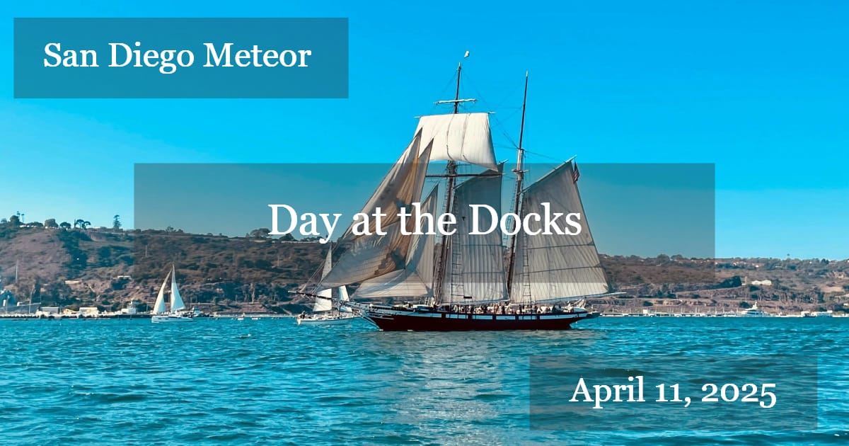 ☄️Avocados, Flowers, and Wine—Your Weekend Starts Here!