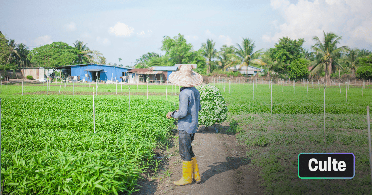Un documentaire pour retracer la folle histoire des paysans français