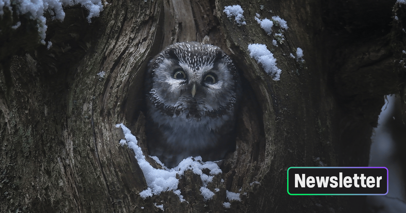 Quand on arrive en ville