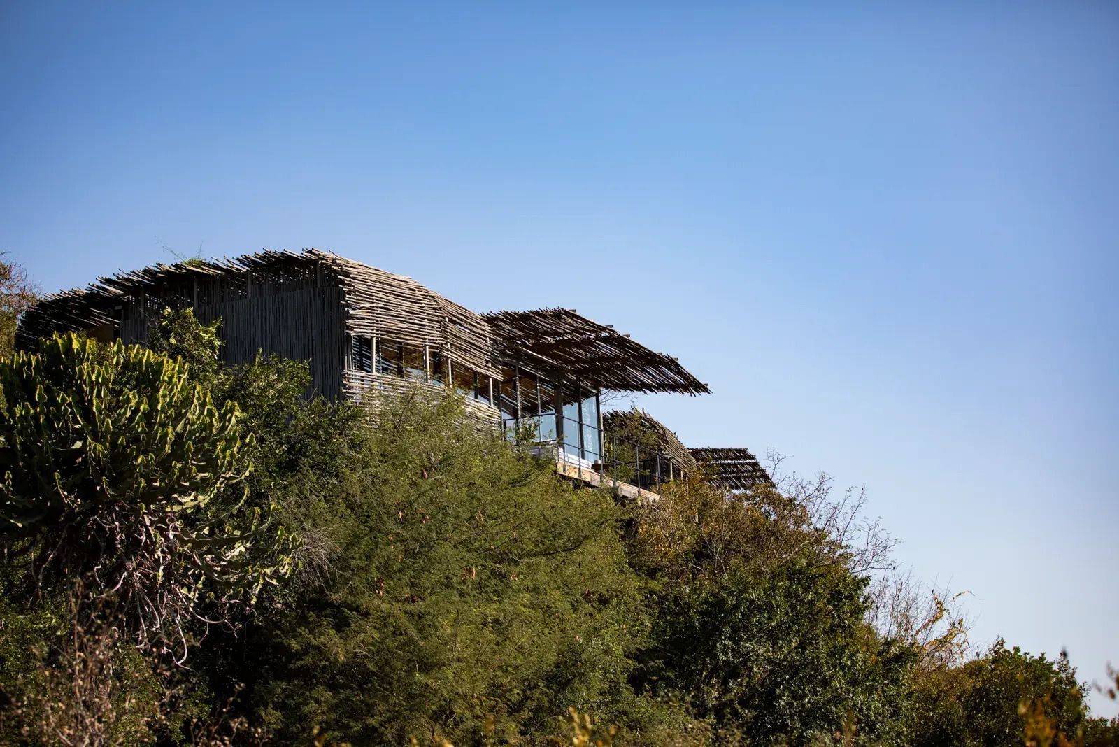 Edition 009 | Singita Lebombo