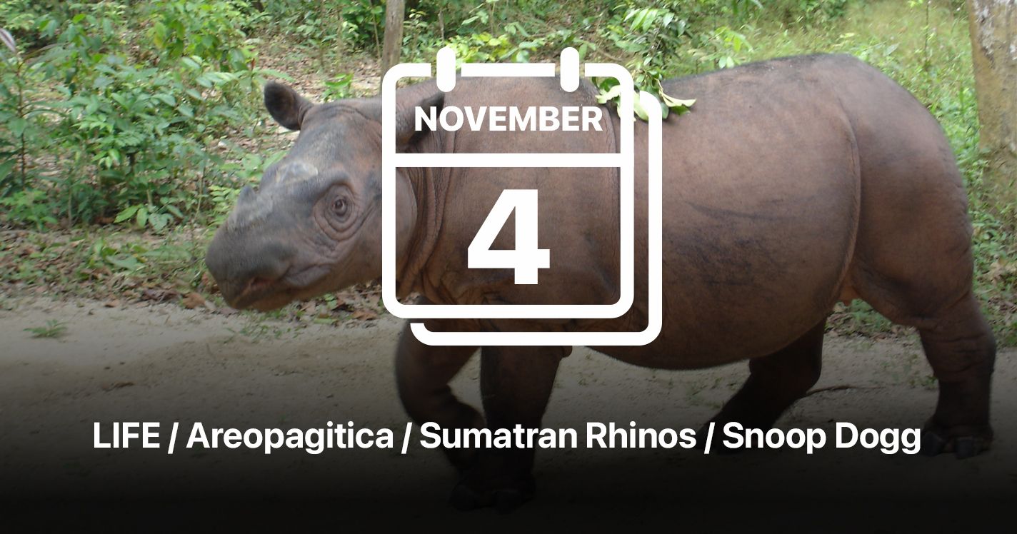 Adventuring through the Canadian Rockies