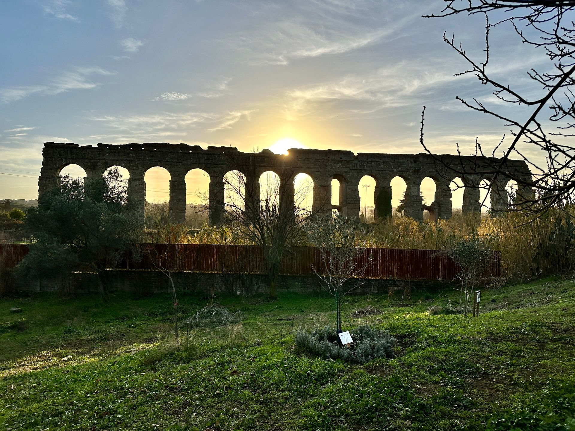 Finding Peace in Rome