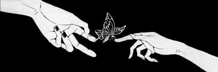 Adventuring through the Canadian Rockies