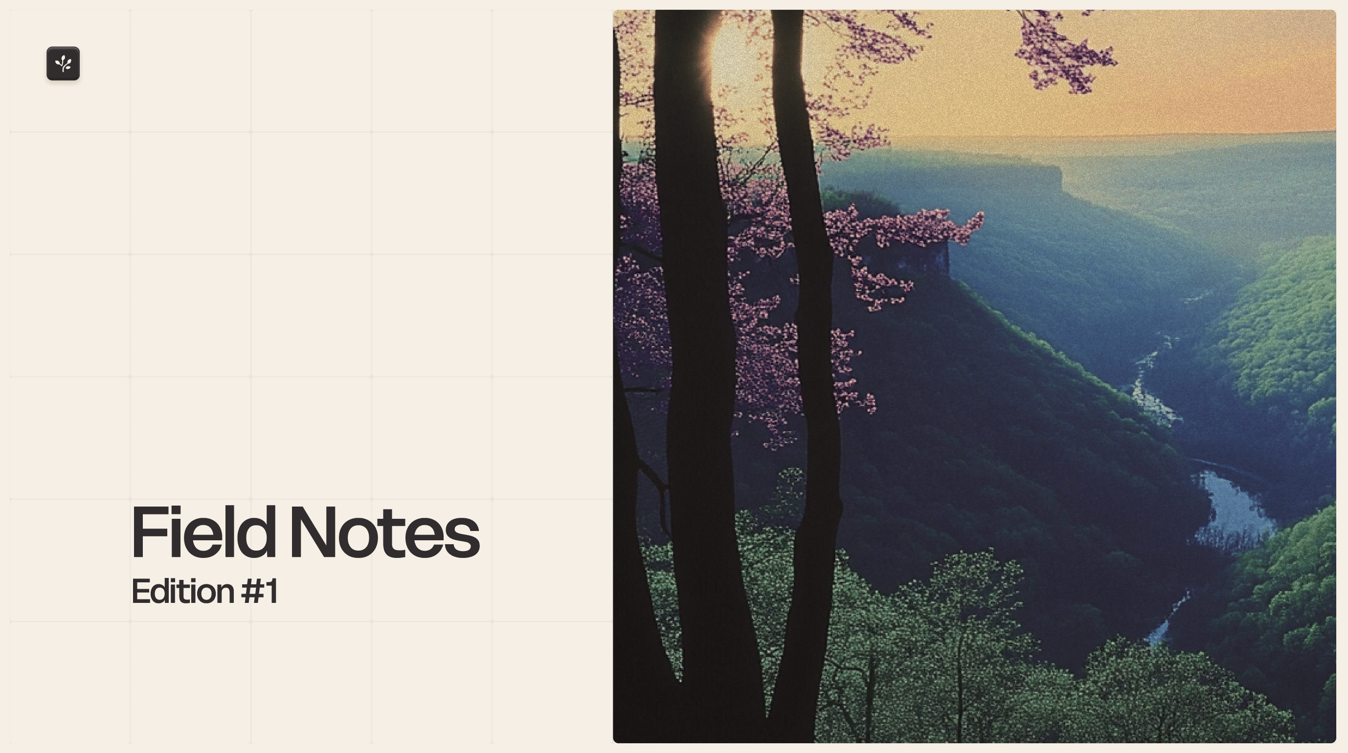 Field Notes: from Redbud