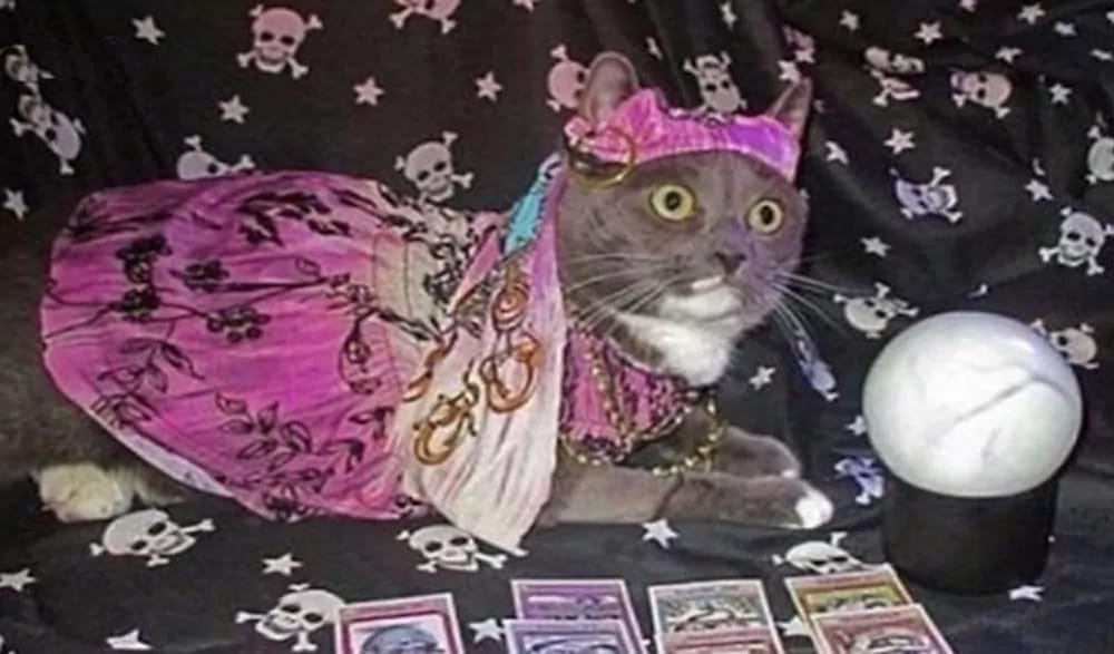 The Joy Drop: February 2026