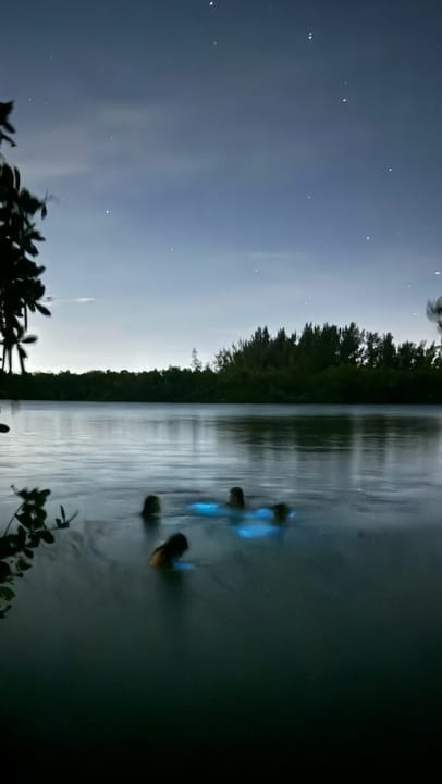 Adventuring through the Canadian Rockies