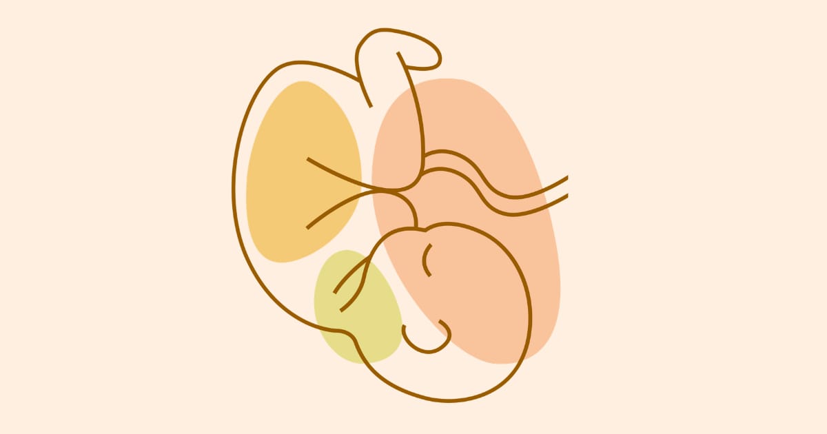 Frozen vs. Fresh Embryo Transfers: What the Latest Research Shows