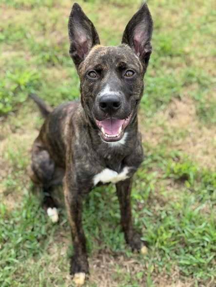 River Valley Local #4: Local Stories, Smart Planning, and What’s Happening This Week