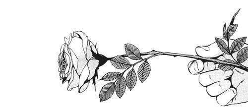 Adventuring through the Canadian Rockies