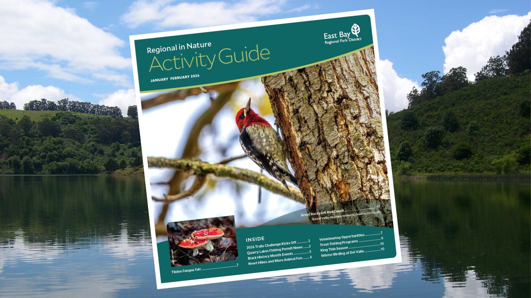 Adventuring through the Canadian Rockies