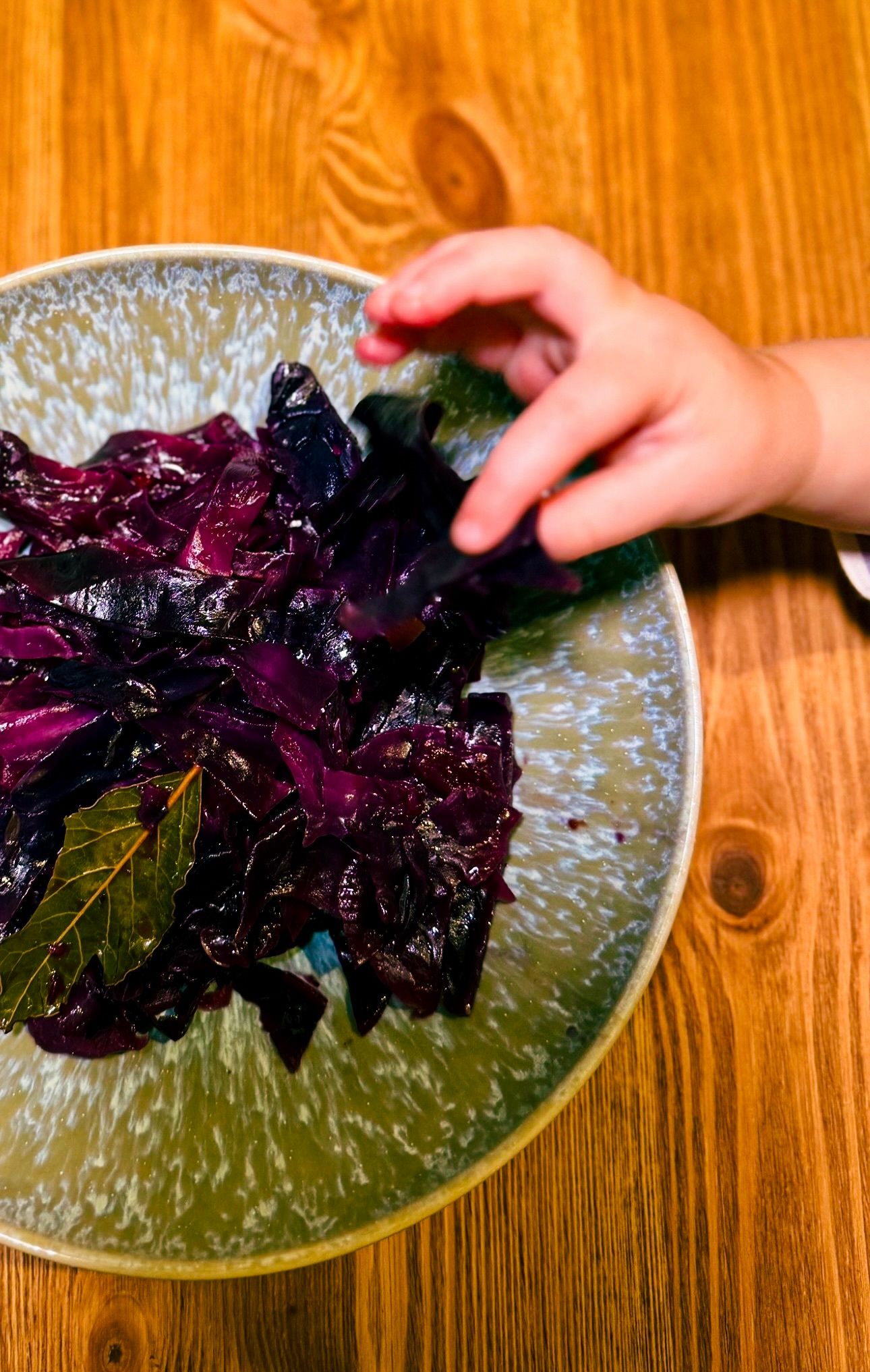 Adventuring through the Canadian Rockies