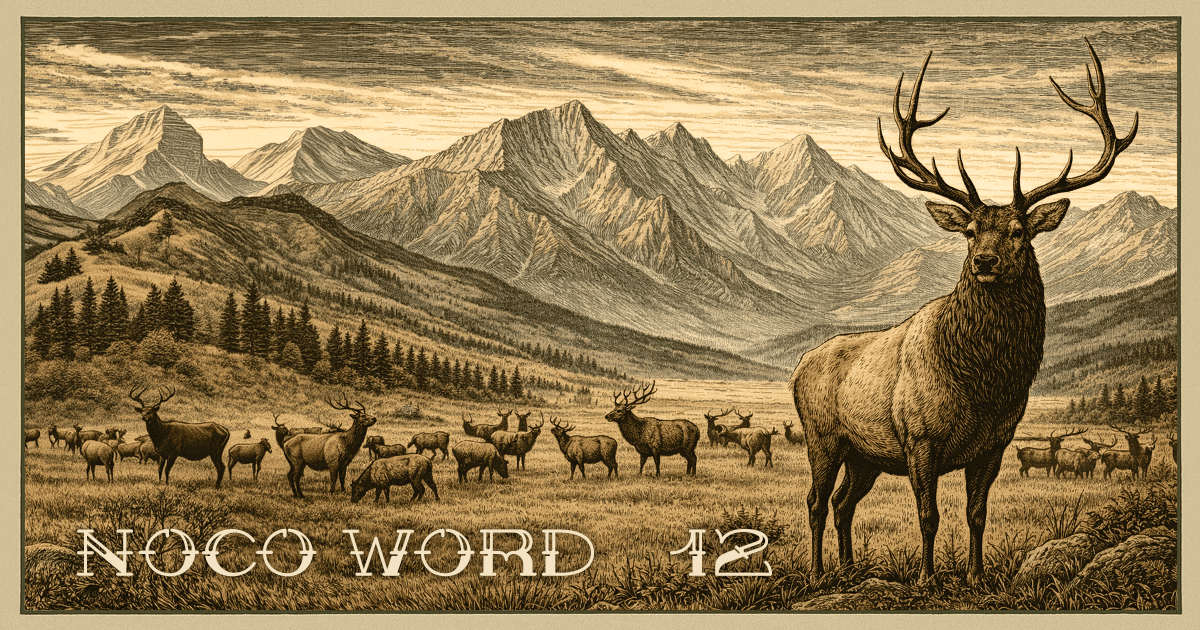 Thumbs Up for the Big Boys