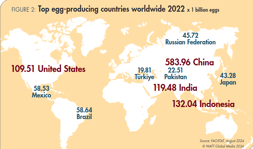 Asia’s Egg Surge: What This Means for Global Markets in 2024