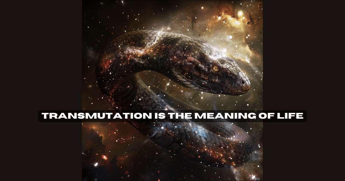 The Meaning of Life is Transmutation.