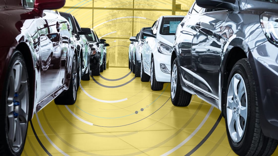 Adventuring through the Canadian Rockies