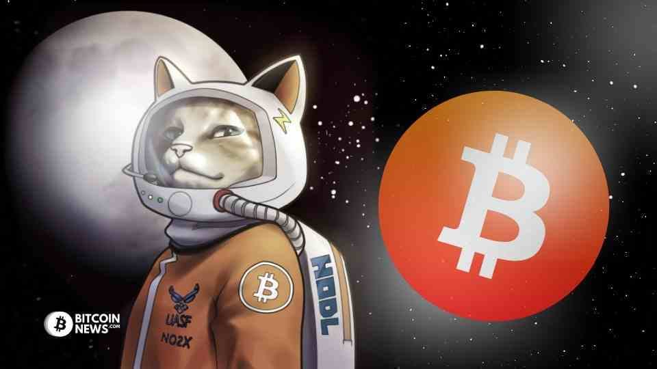 Adventuring through the Canadian Rockies