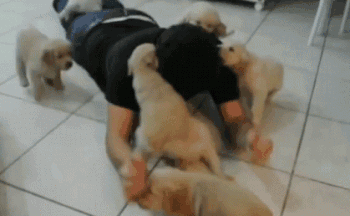 Adventuring through the Canadian Rockies