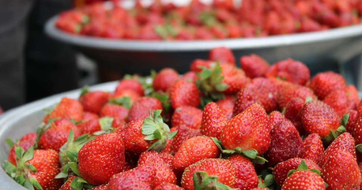 New STEM School in Riverview + East of Tampa Buzz