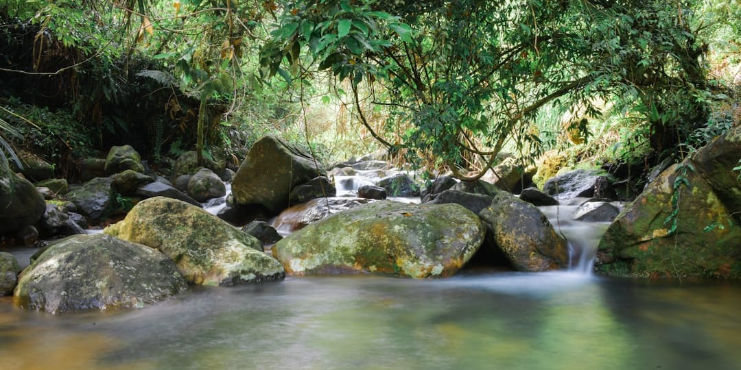 Adventuring through the Canadian Rockies